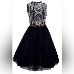 EUC Vijiv 1920’s Short Prom Dress Beaded Organza, size XS